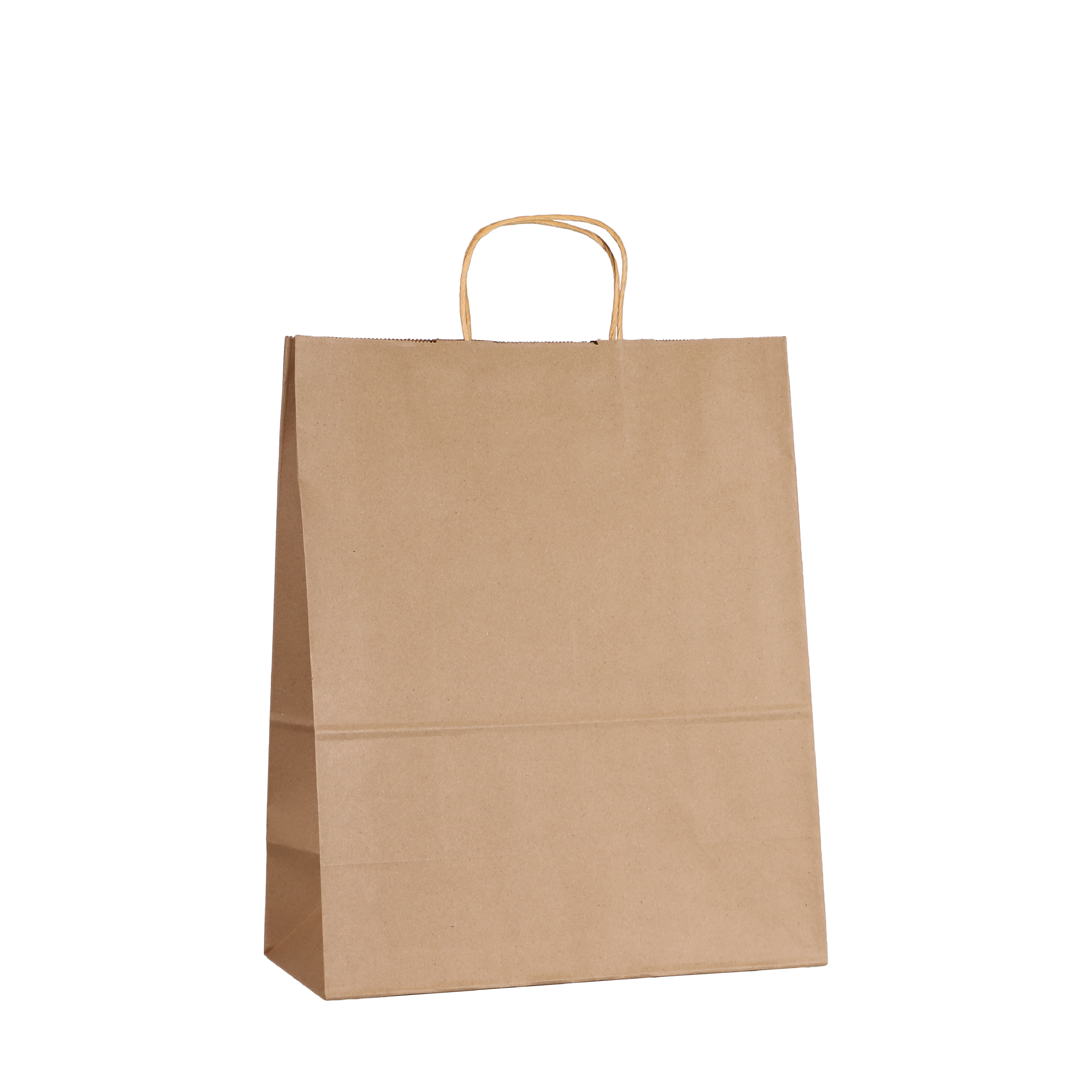 Large Kraft Paper Bag with Twine Handle