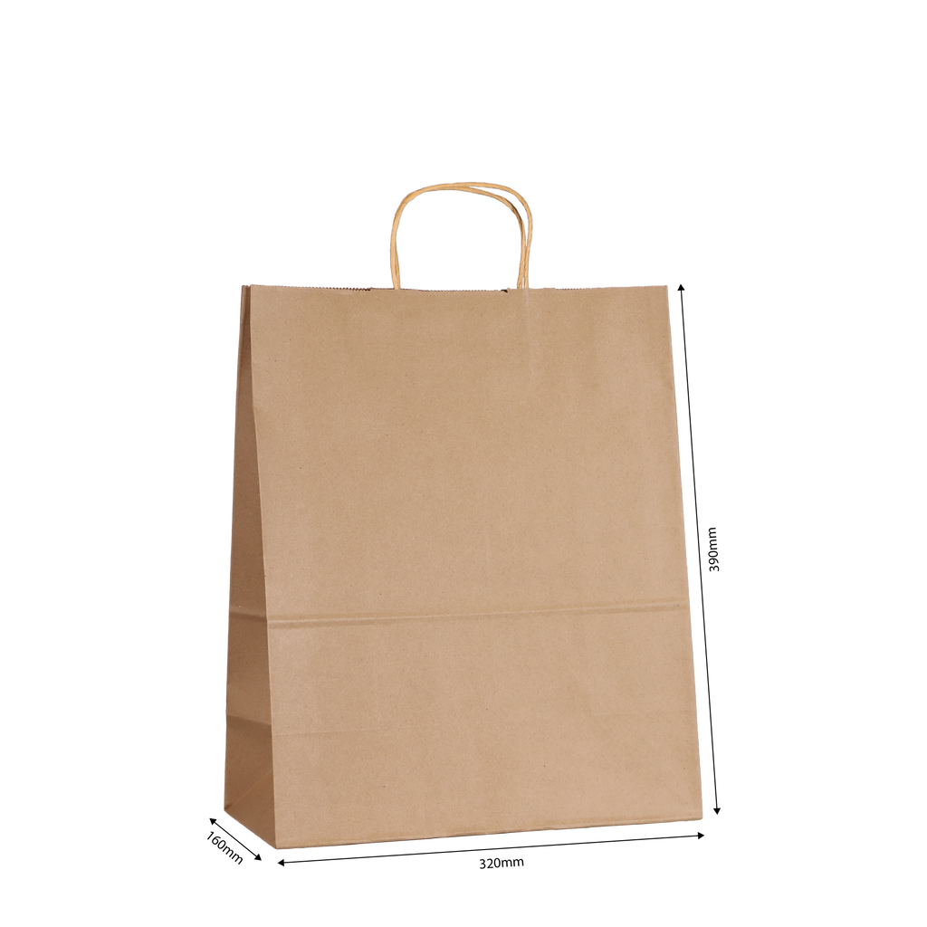 Large Kraft Paper Bag with Twine Handle