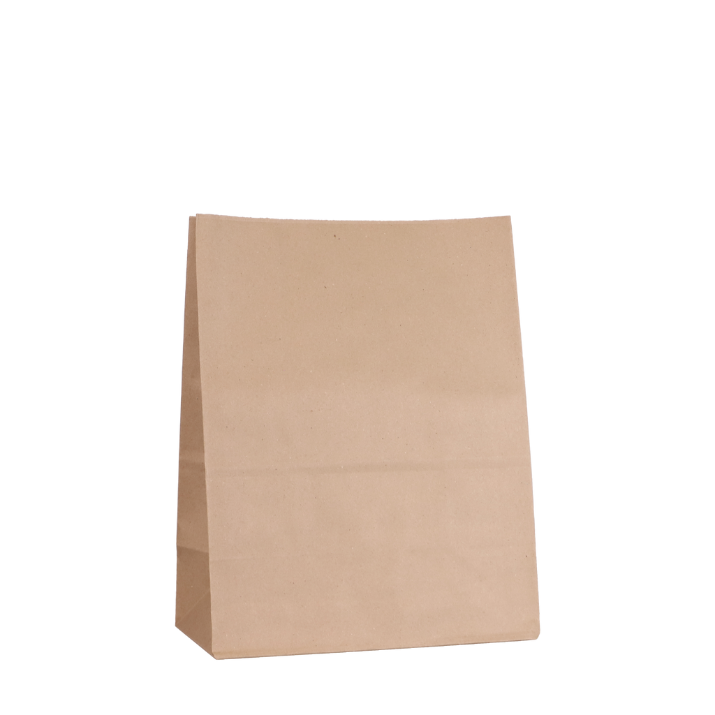 Medium Kraft Paper Bag | 360x280x150mm