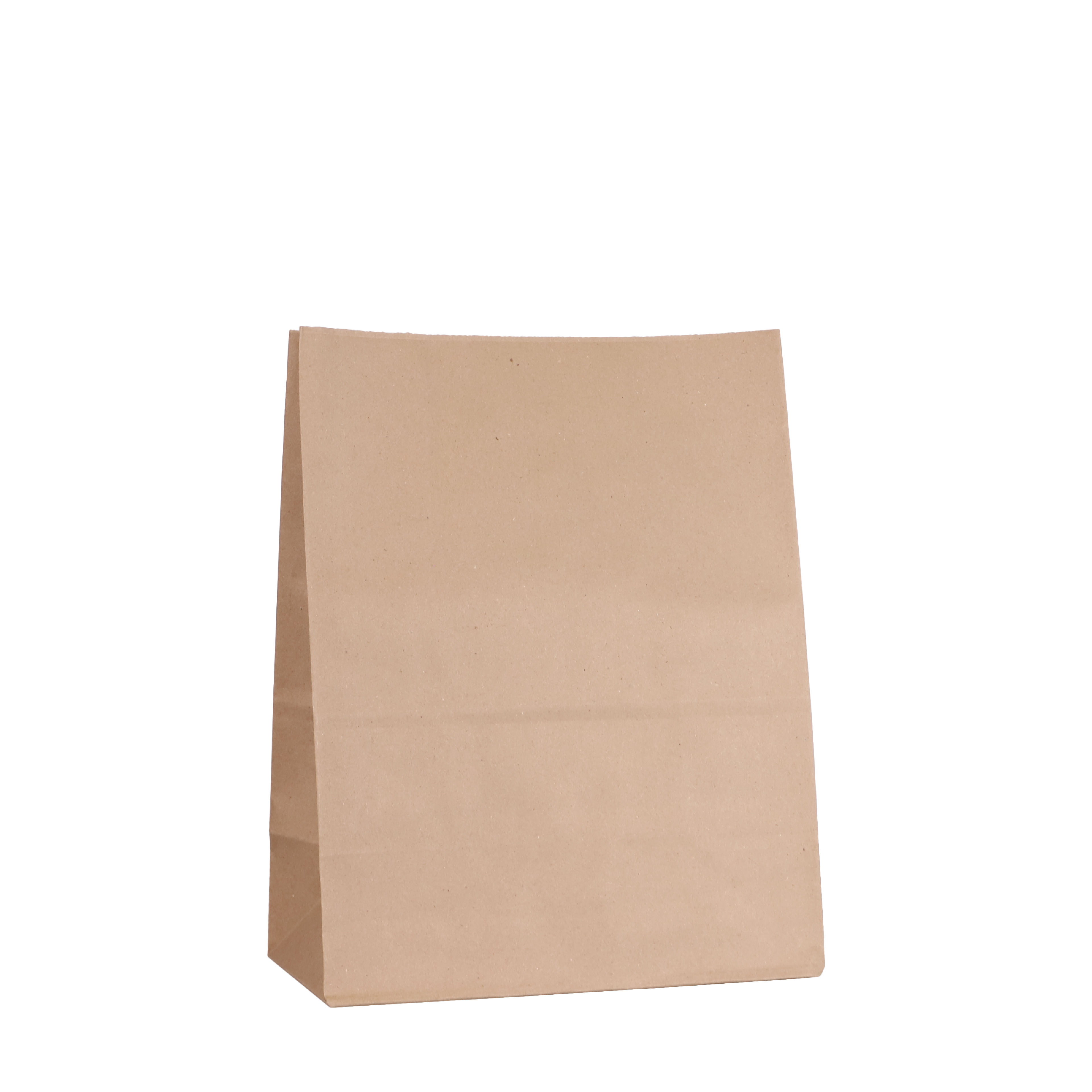 Medium Kraft Paper Bag | 360x280x150mm