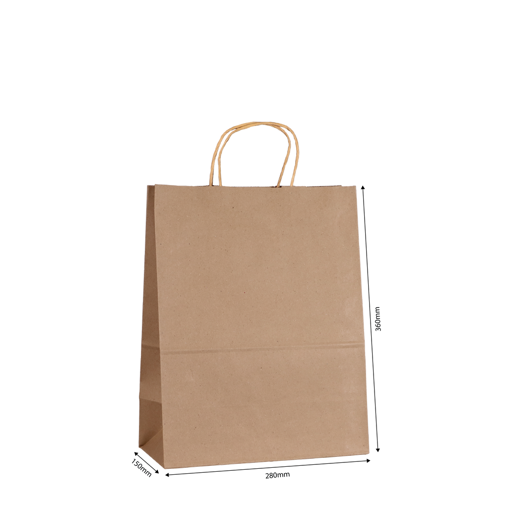 Medium Kraft Paper Bag with Twine Handle