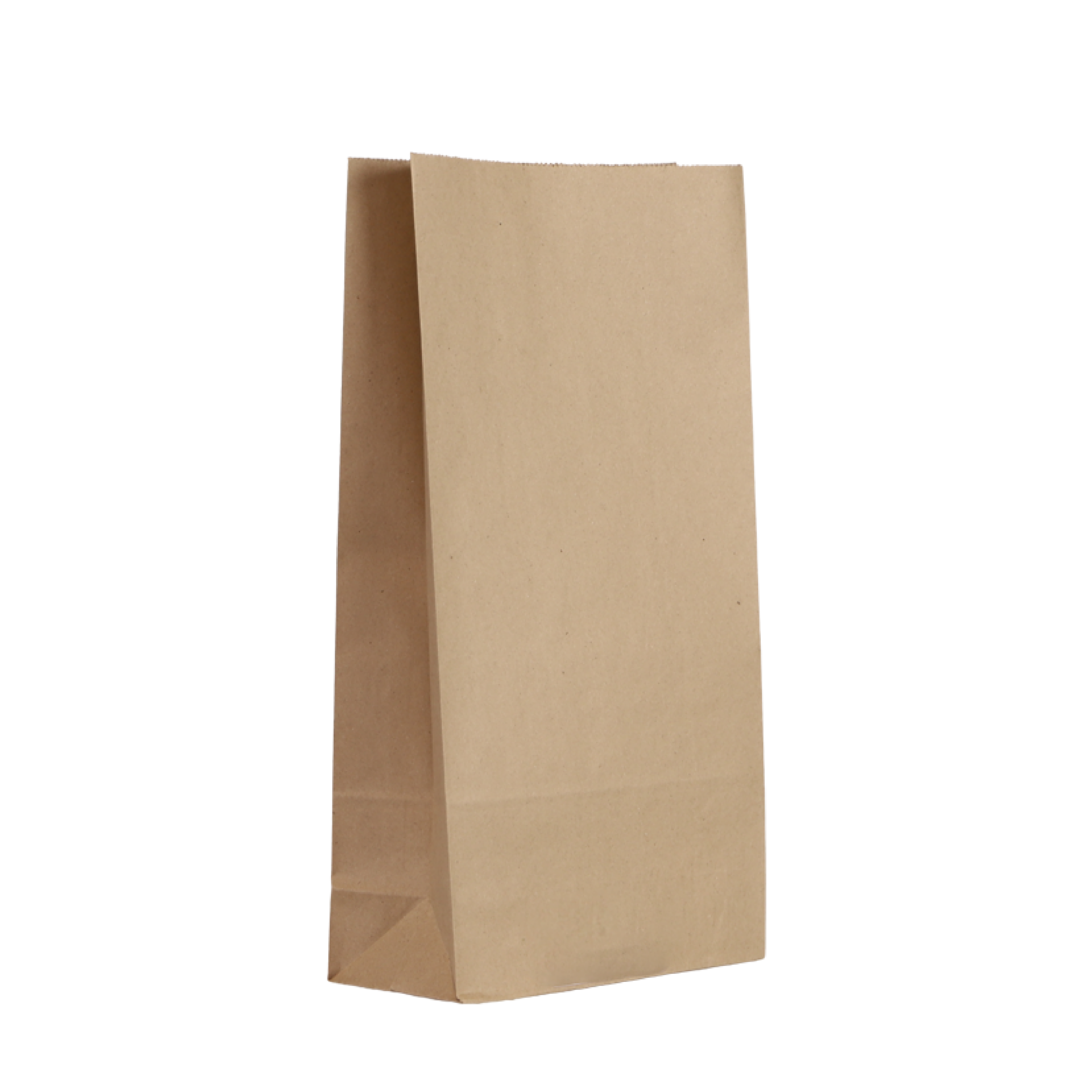 SO16 Kraft Takeaway Bag | 390x206mm
