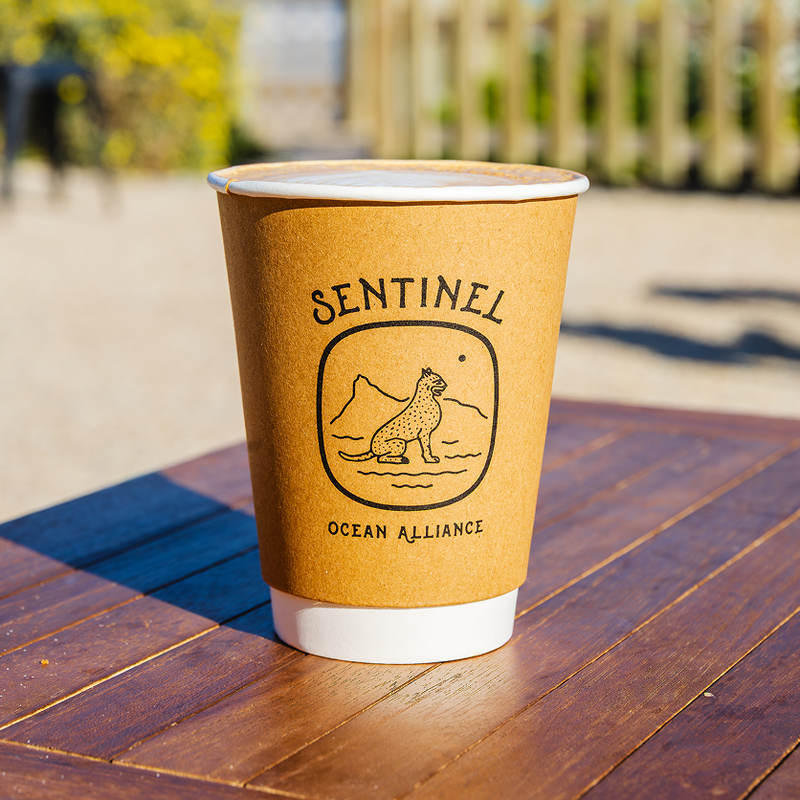 SENTINEL OCEAN ALLIANCE